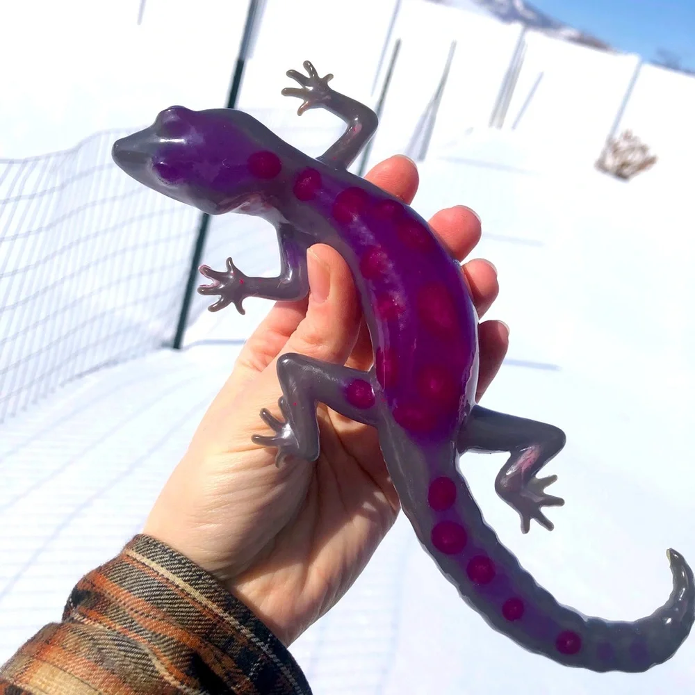 Color Changing Lizard - Picture 1 of 3